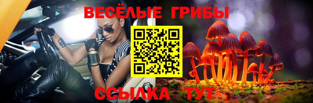 Псилоцибиновые грибы Cubensis  Вход с VPN  Сегежа 