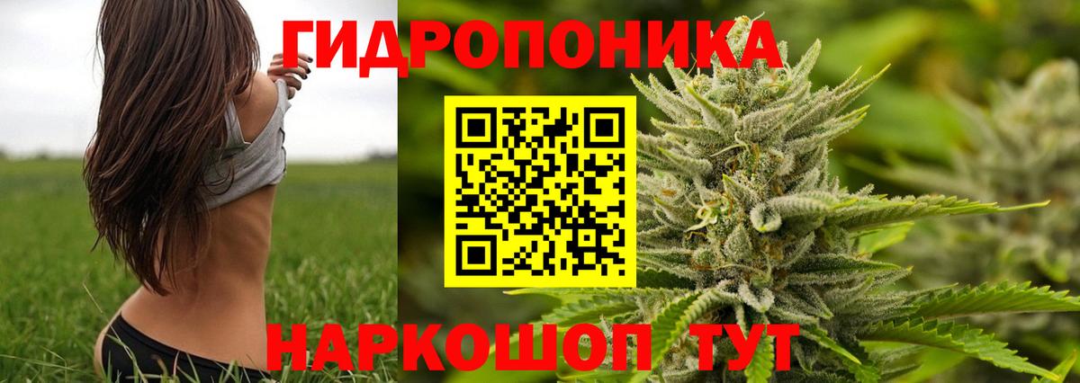Бошки марихуана планчик Сегежа